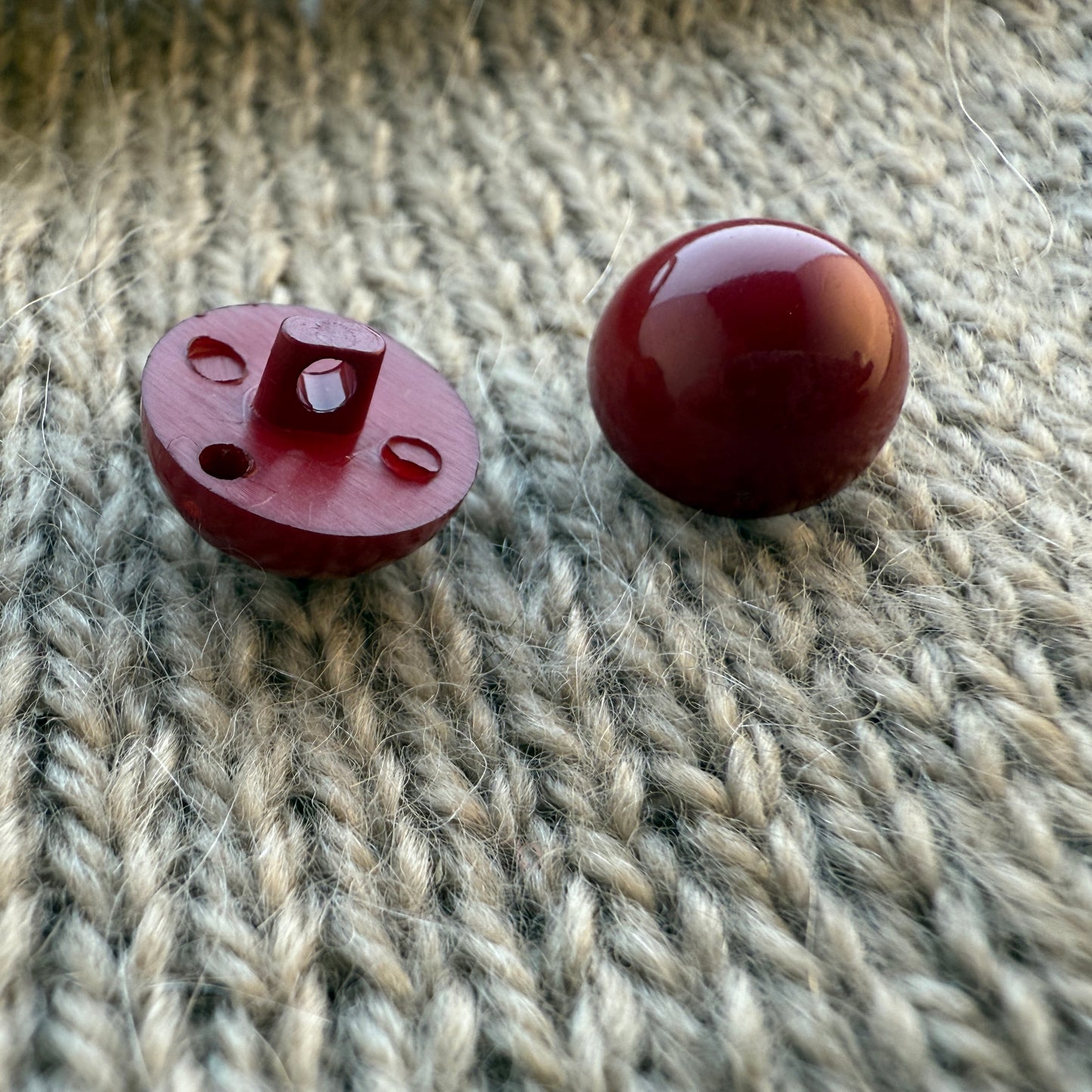 Red Wine Mushroom Button