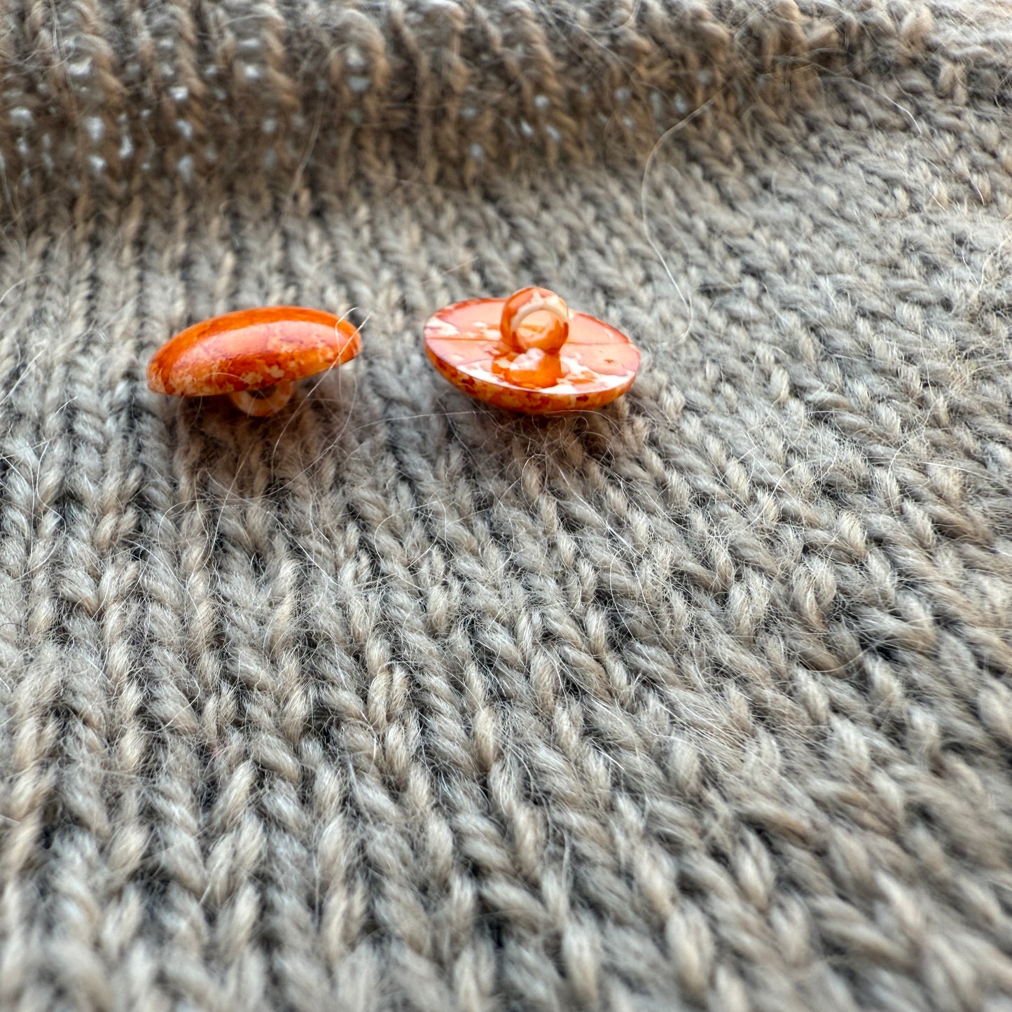 Orange Flat Mushroom Button