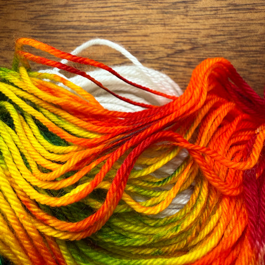 Second Chance 008 - Deluxe Merino Sock Assigned Pooling 'Pride'