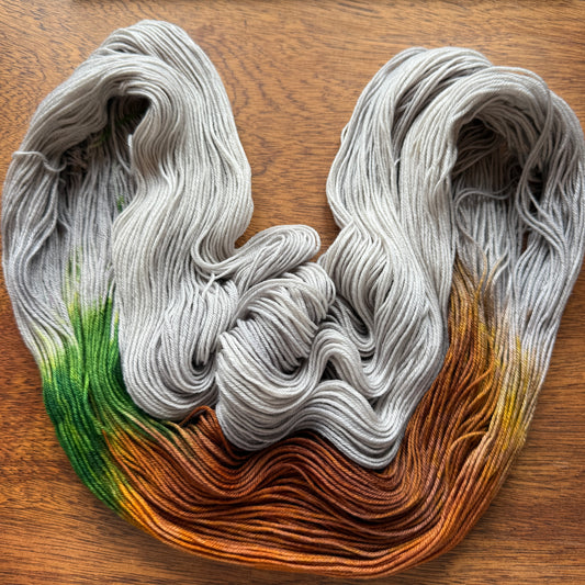 Second Chance 018 - Deluxe Merino Sock Assigned Pooling 'Pumpkin Patch'