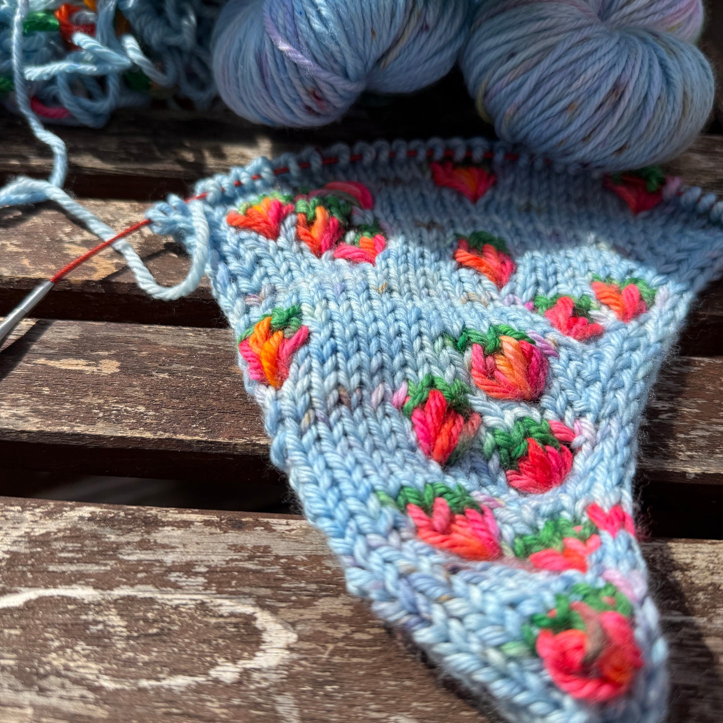 Strawberry - Pure Merino DK Assigned Pooling