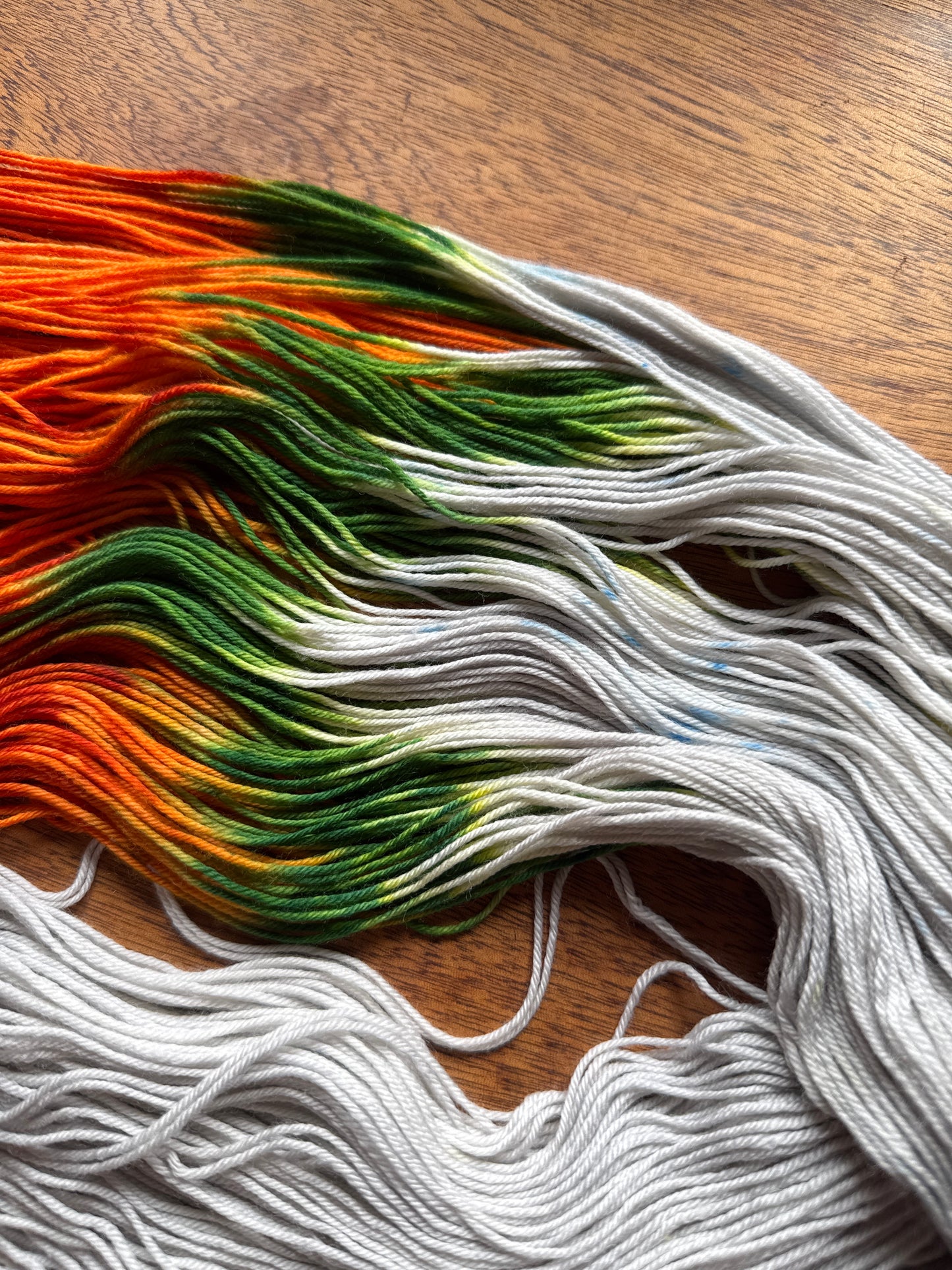 Tweede Kansje 015 - Deluxe Merino Sock Assigned Pooling ‘Pumpkin Patch’