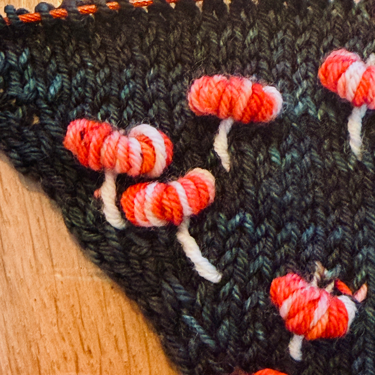 Fly Amanita - Deluxe Merino Sock Assigned Pooling