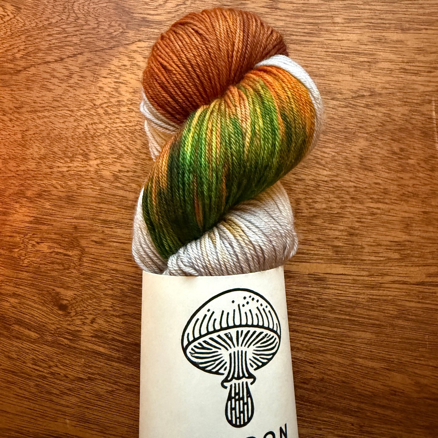 Second Chance 031 - Deluxe Merino Sock Assigned Pooling 'Pumpkin Patch'