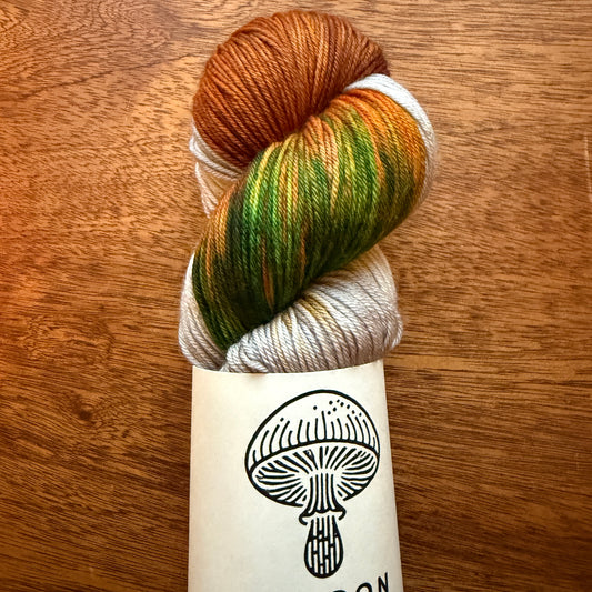 Second Chance 031 - Deluxe Merino Sock Assigned Pooling 'Pumpkin Patch'