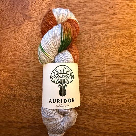 Second Chance 032 - Deluxe Merino Sock Assigned Pooling 'Pumpkin Patch'