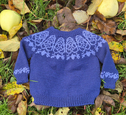 The Elba Baby Sweater - Pattern