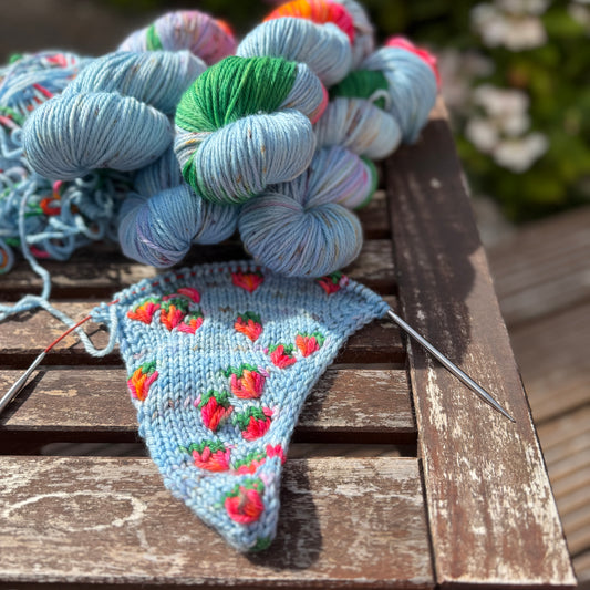 Strawberry - Pure Merino DK Assigned Pooling