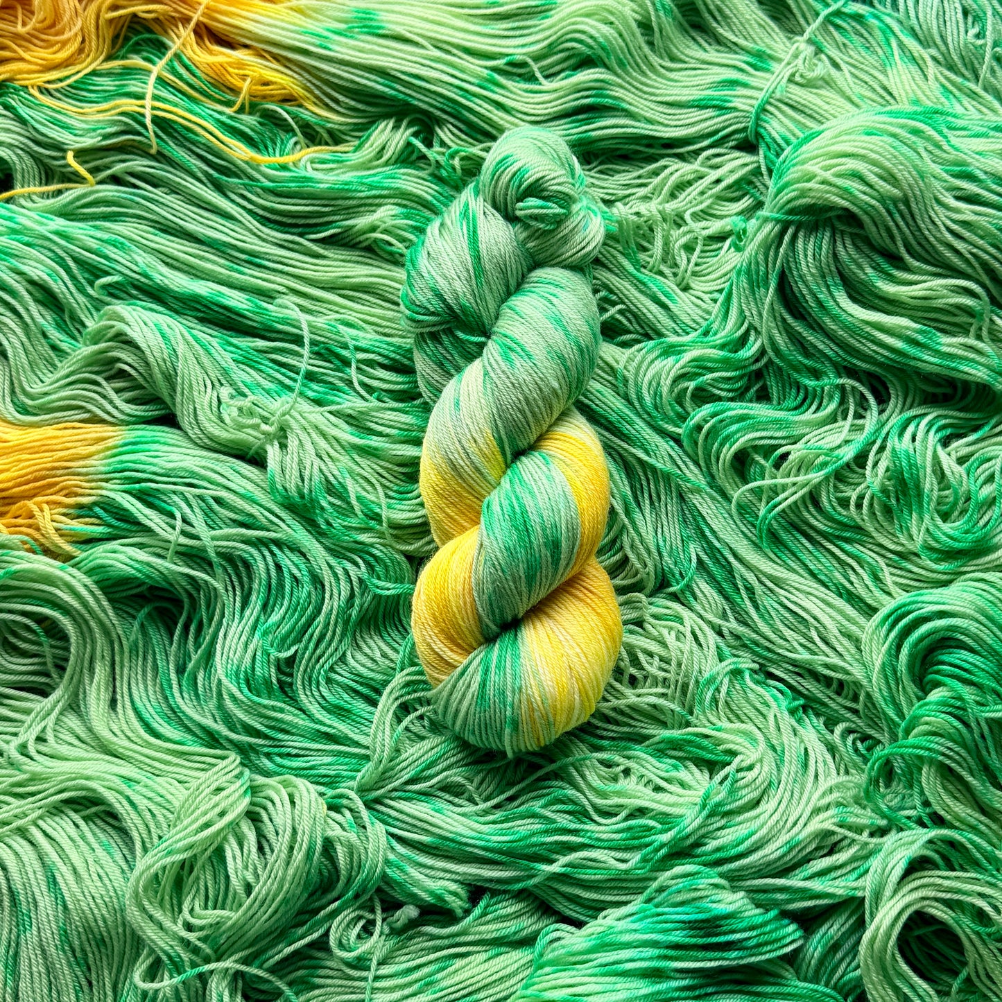 Yellow Tulips - Deluxe Merino Sock Assigned Pooling