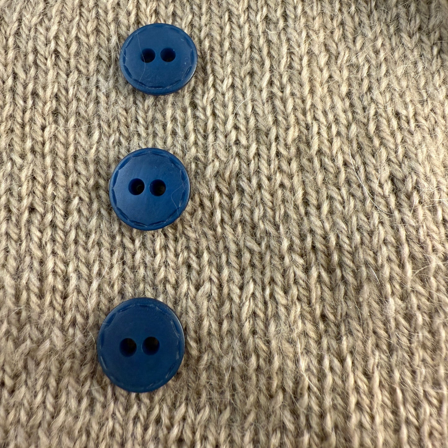 Teal Pignose Button