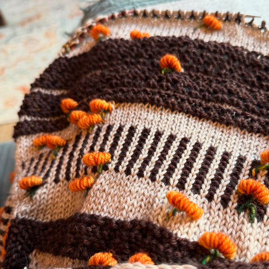 Pumpkin Patch Assigned Pooling Scatterlight Schalgarn-Set