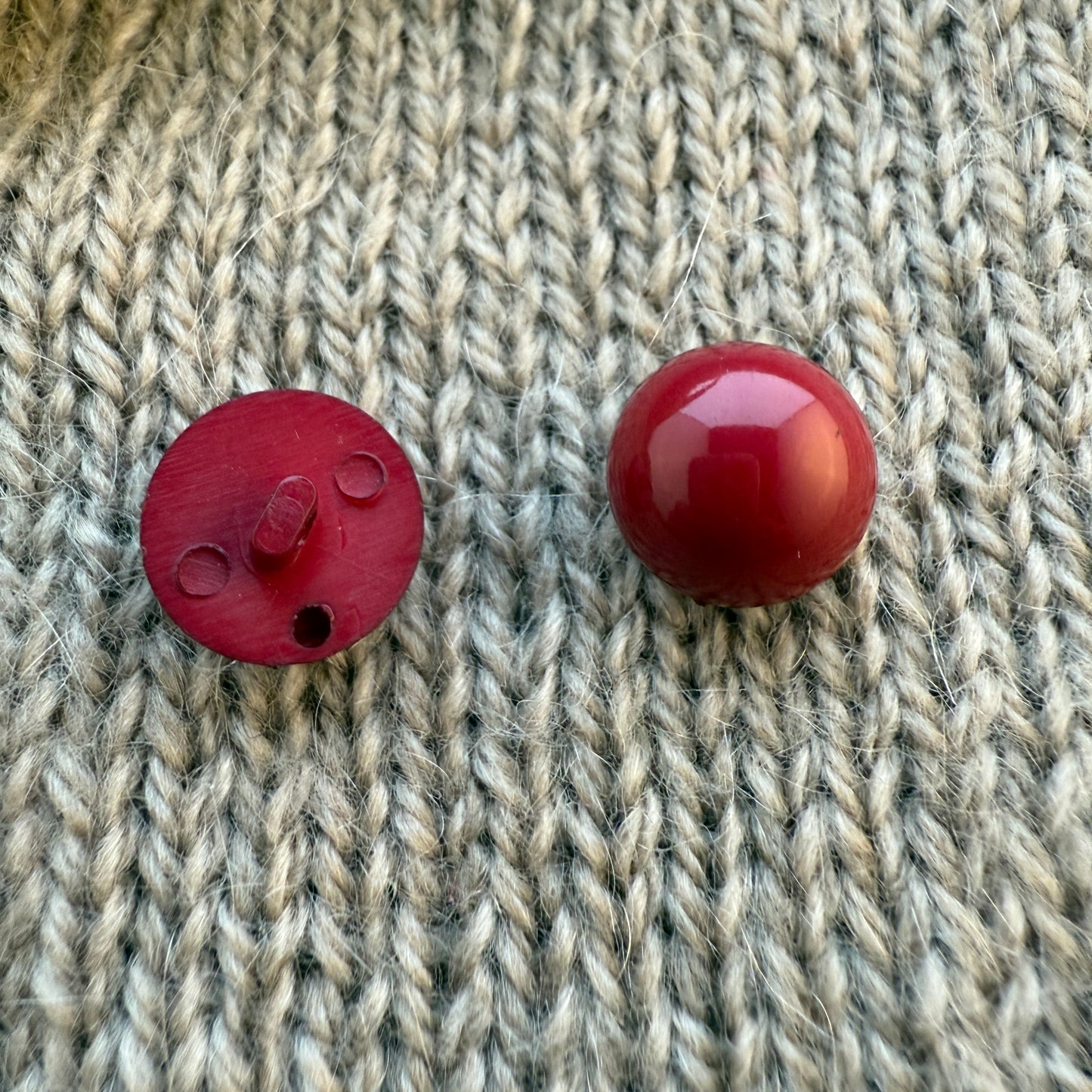 Red Wine Mushroom Button