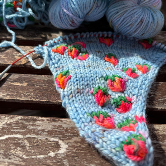 Strawberry - Pure Merino DK Assigned Pooling