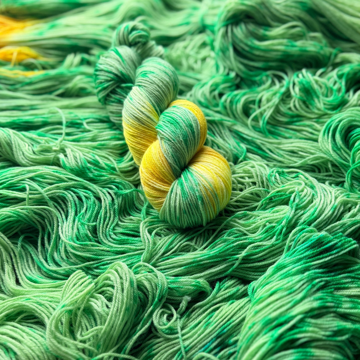 Yellow Tulips - Deluxe Merino Sock Assigned Pooling