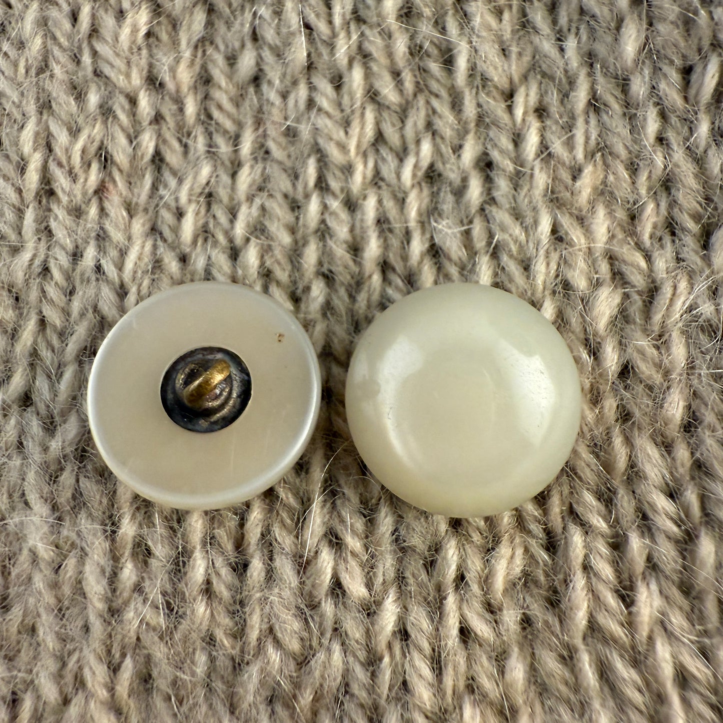 Opaque Mushroom Button