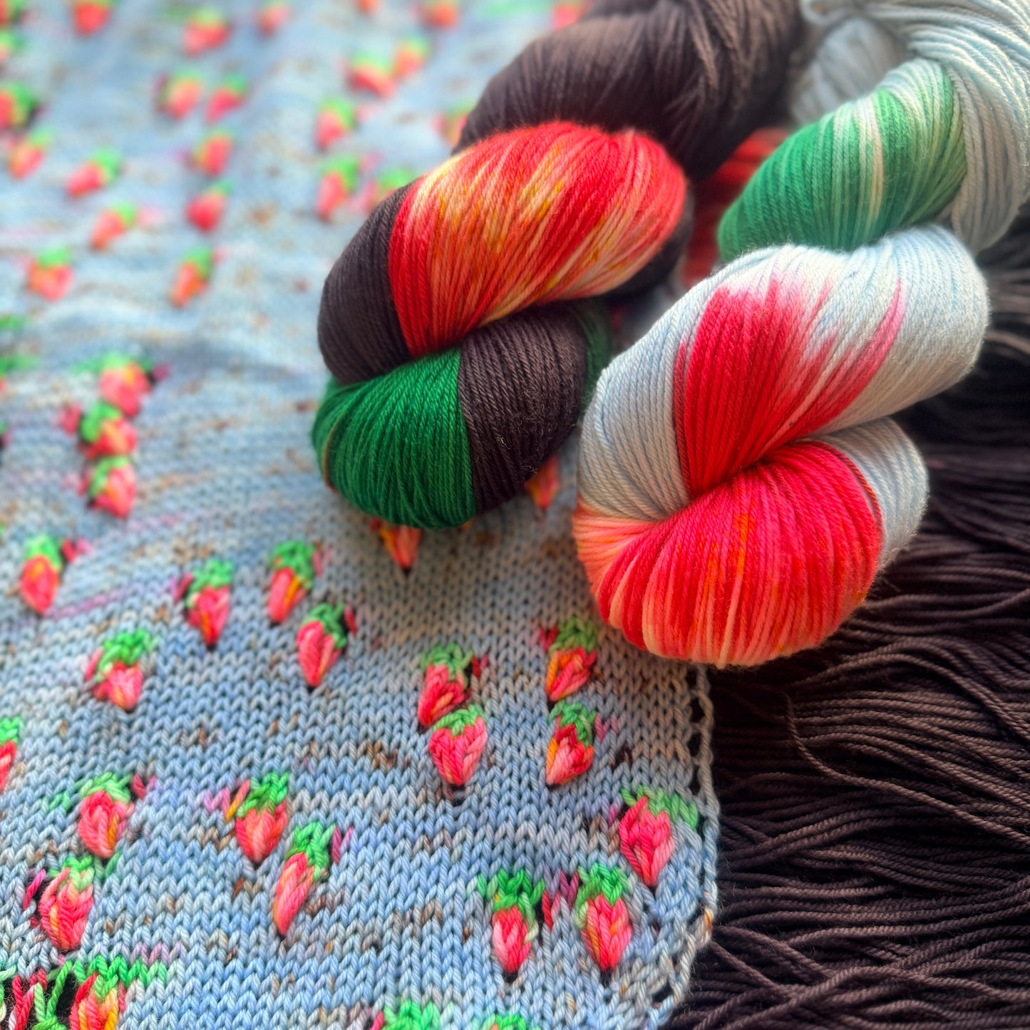 Strawberry Noir - Deluxe Merino Sock Assigned Pooling