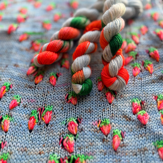 Strawberries - Deluxe Merino Sock Mini Assigned Pooling