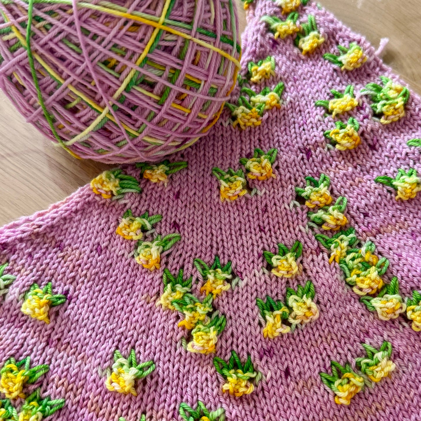 Pineapple - Deluxe Merino Sock Assigned Pooling