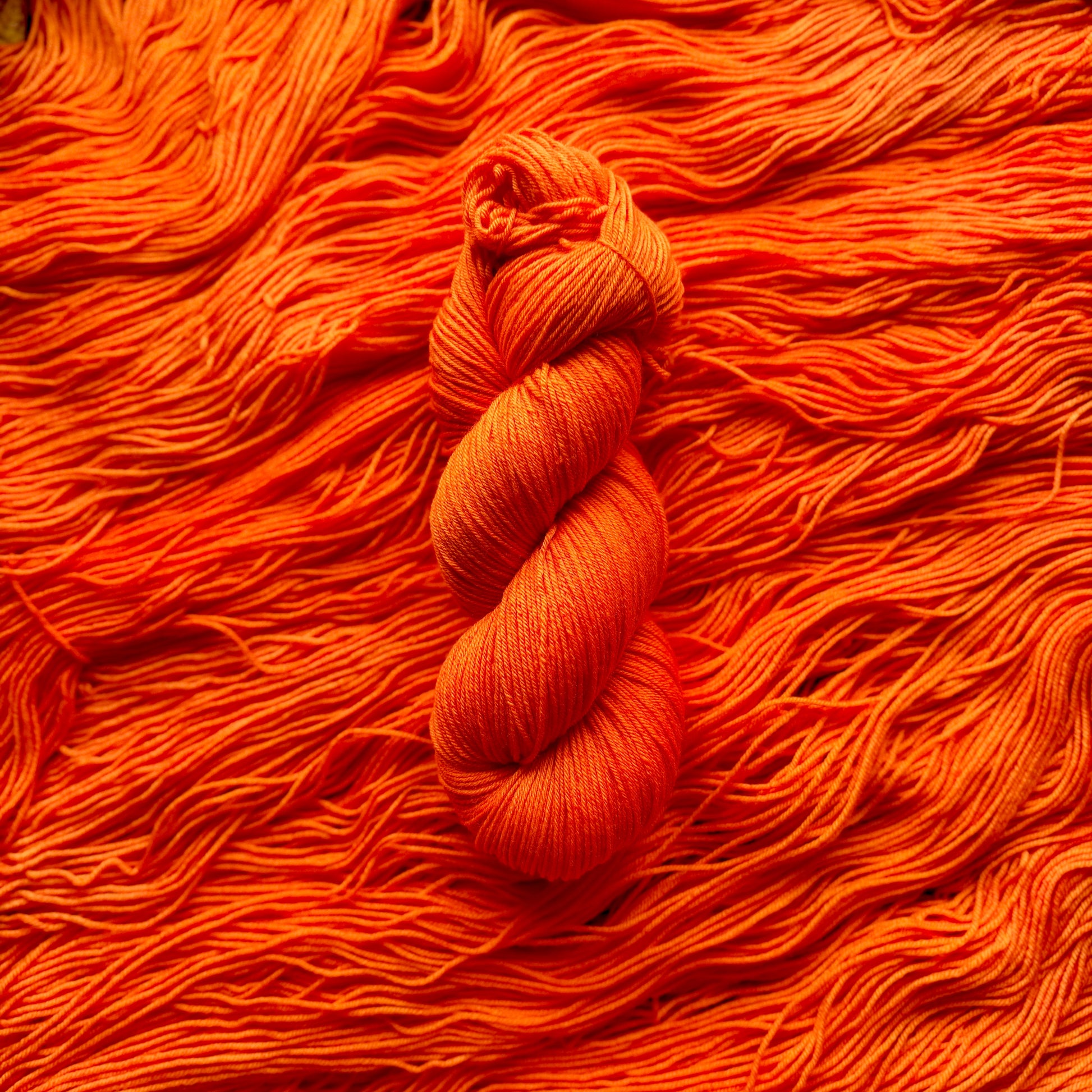 Amsterdam hand-dyed Deluxe Merino Sock yarn skein by Auridon Yarns