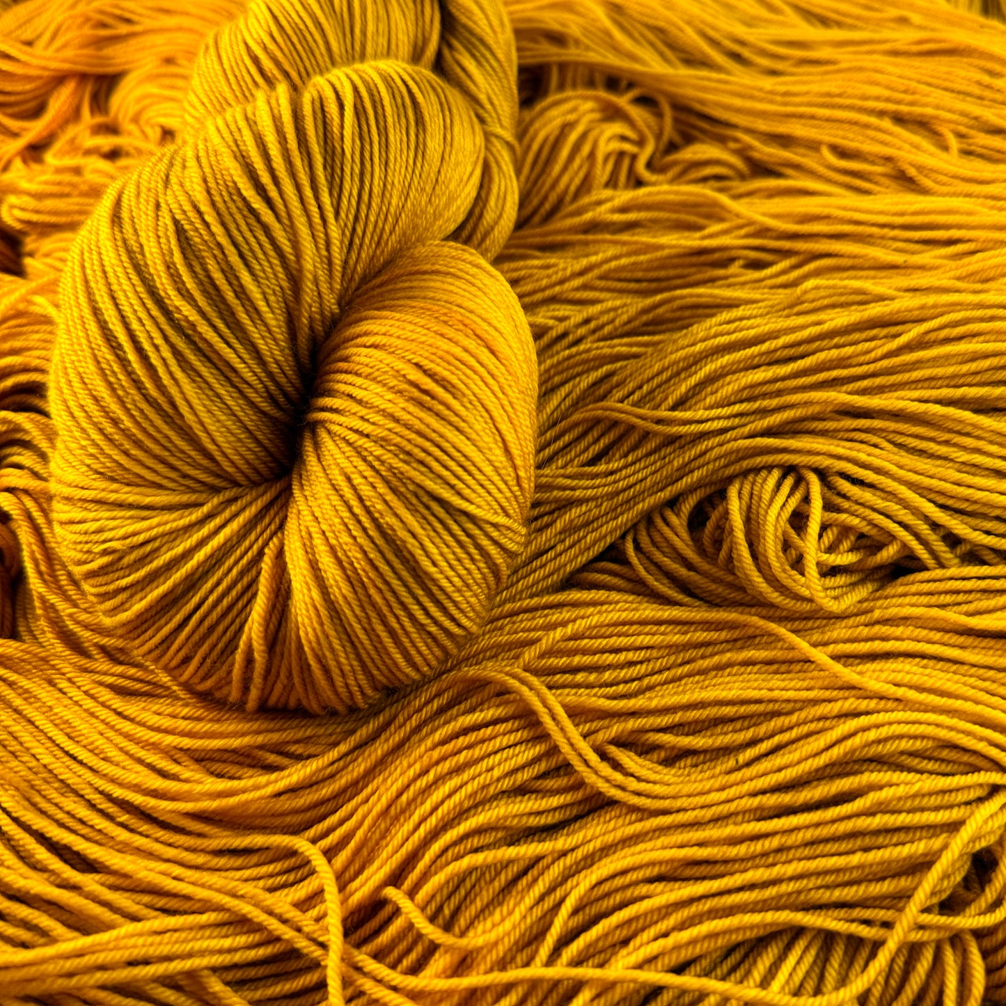 Dijon Deluxe Merino Sock yarn, hand-dyed in Haarlem