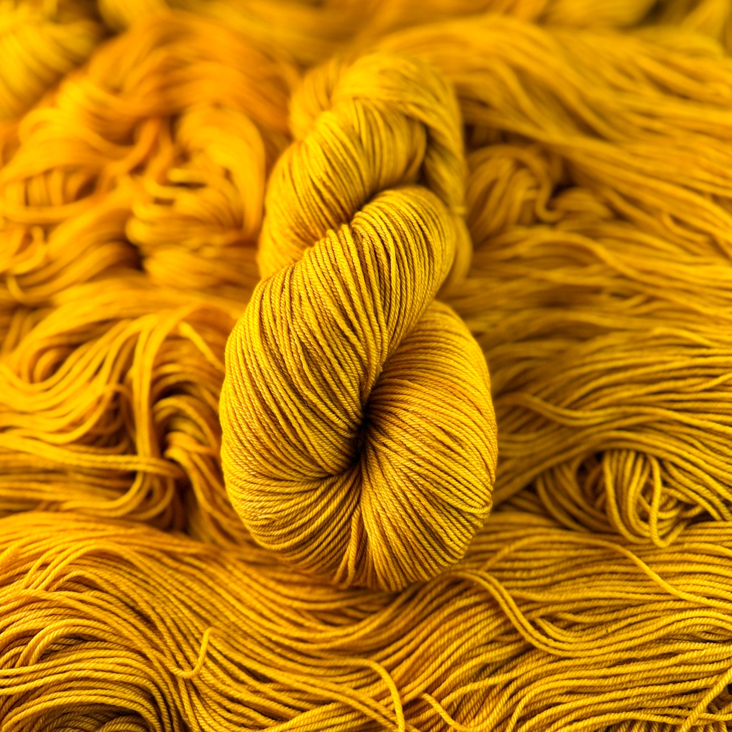 Dijon hand-dyed Deluxe Merino Sock yarn skein by Auridon Yarns